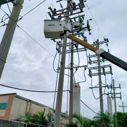 Distribution System Pole Erection